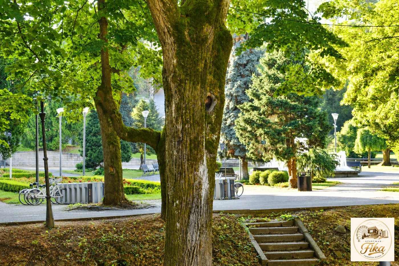 Vrnjačka Banja – fotografija 25